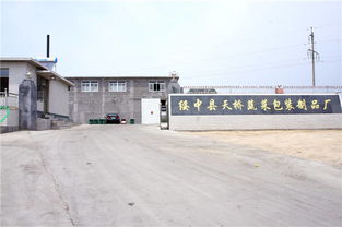 天橋蔬菜包裝制品廠 綏中蔬菜泡沫包裝箱廠家